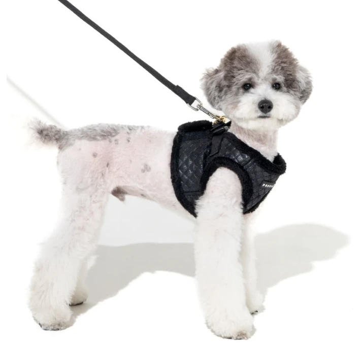 PUPPIA Douglas Ayarlanabilir Polarlı Göğüs Tasması