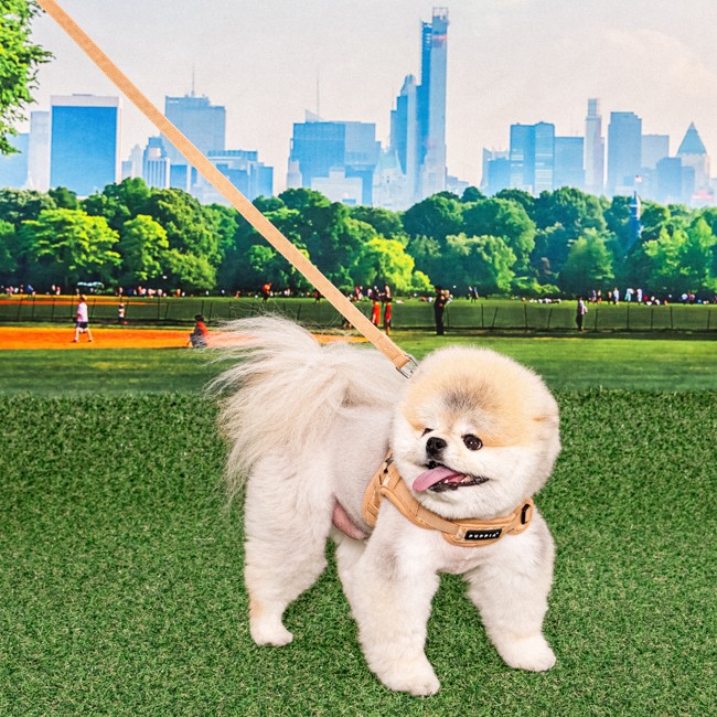 PUPPIA Corwın Harness Beıge Paza Köpek Gögüs Tasması