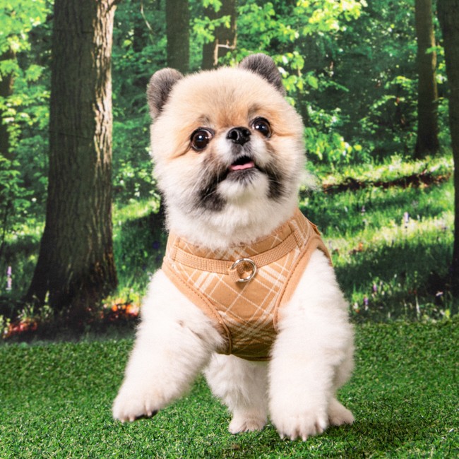 PUPPIA Corwın Harness Bıege Paza Köpek Gögüs Tasması