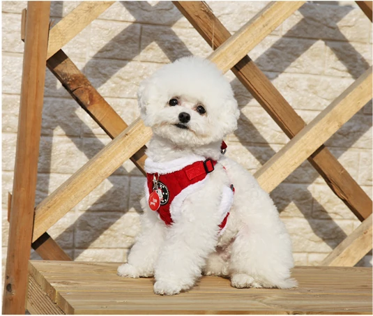 PUPPIA Blitzen Ayarlanabilir Polarlı Göğüs Tasması