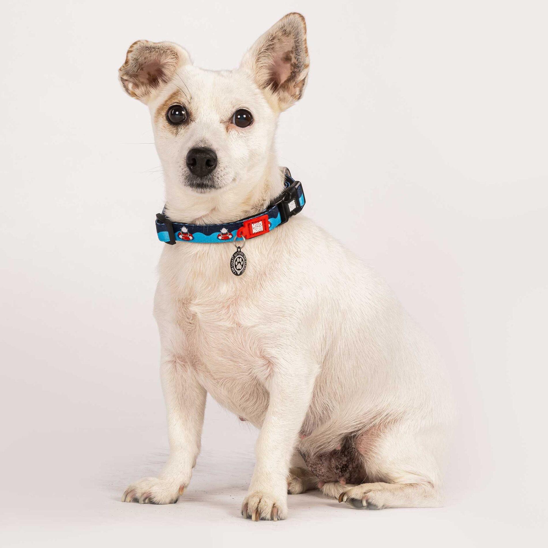 Max Molly Köpek Balıklı Köpek Boyun Tasması