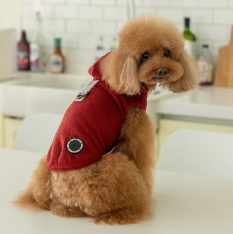 PUPPIA Zuko Ayarlanabilir Polarlı Göğüs Tasması