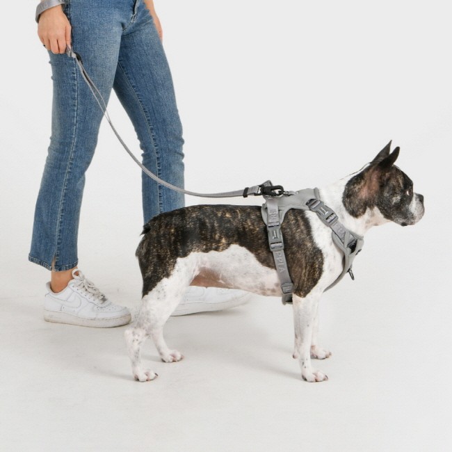 PUPPIA Jarek Harness Grey Paxd Köpek Gögüs Tasması