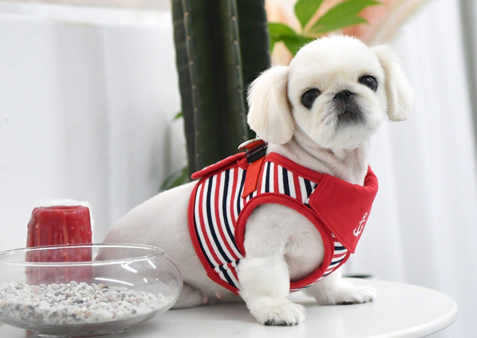 PUPPIA Seaman Harness Red Paua Köpek Gögüs Tasması
