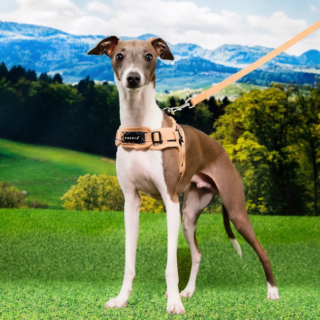 PUPPIA Corwın Harness Navy Paza Köpek Gögüs Tasması