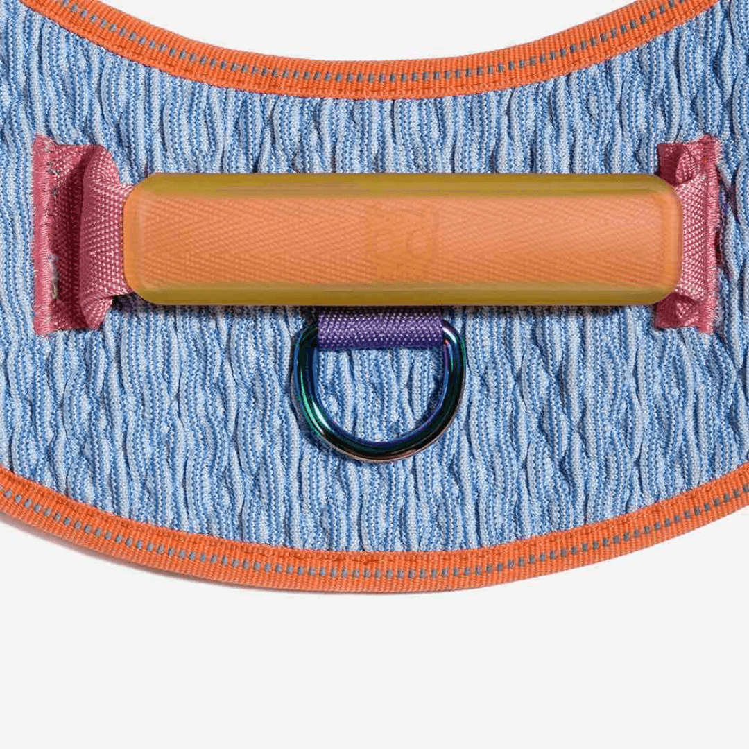 Zee.Dog FlyHarness Galaxy Göğüs Tasması