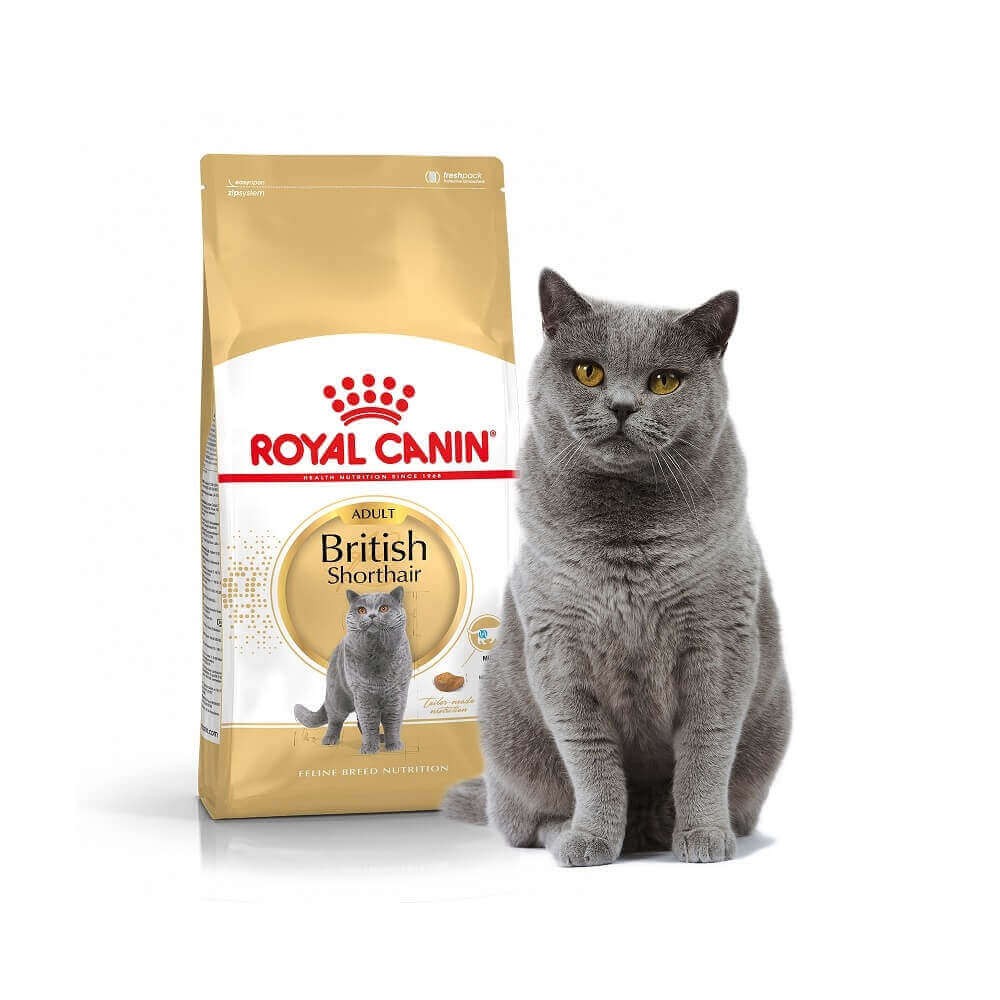 Royal Canın British Shorthair Adult Yetişkin Kedi Kuru Maması 2 kg