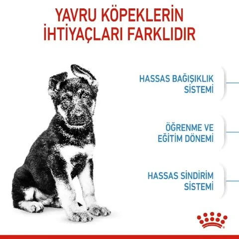 Royal Canın Maxi Puppy Köpek Kuru Maması 15kğ