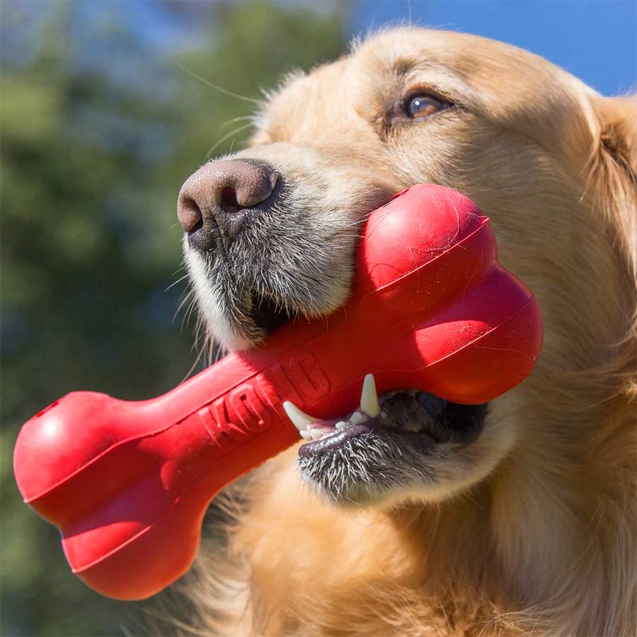 KONG Goodie Bone Kemik Şeklinde Çok Amaçlı Köpek Oyuncağı