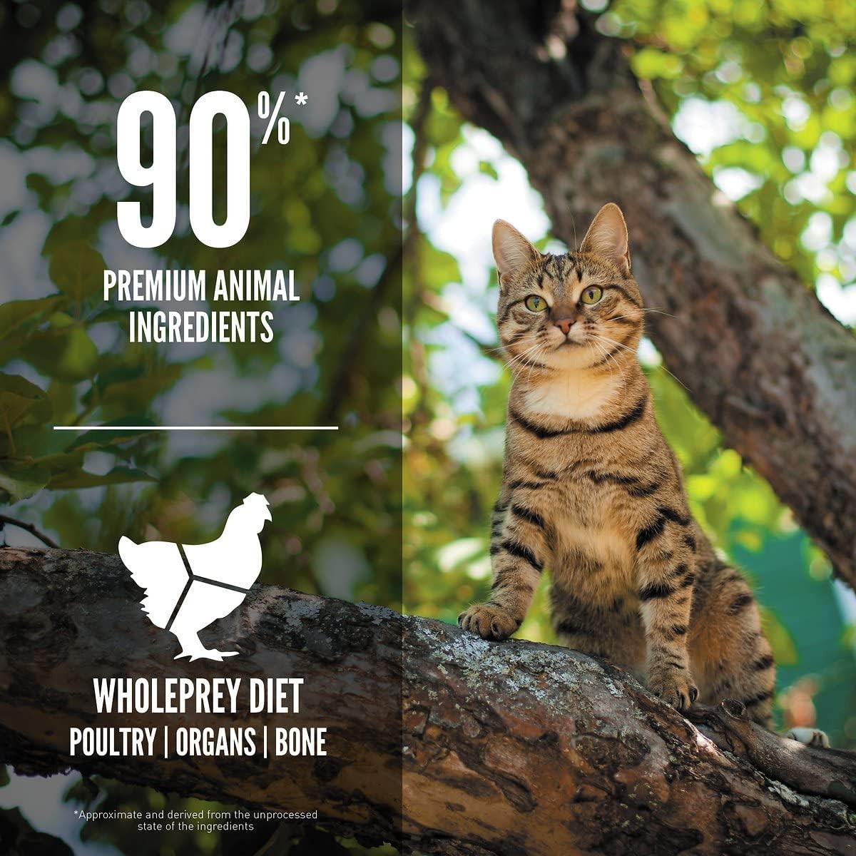 Orijen Guardian8 Yetişkin Kediler için Kedi Maması 4.5 Kg