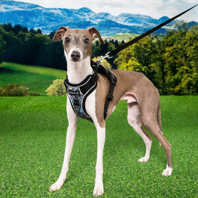 PUPPIA Cynthia Ayarlanabilir Göğüs Tasması