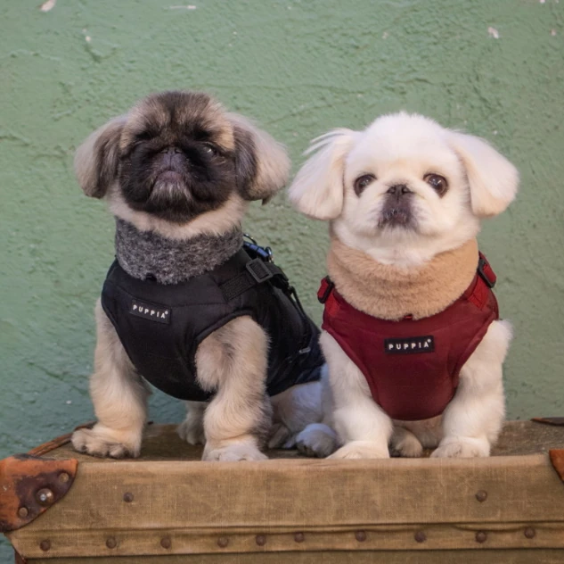 PUPPIA Donavan Polarlı Köpek Kıyafeti