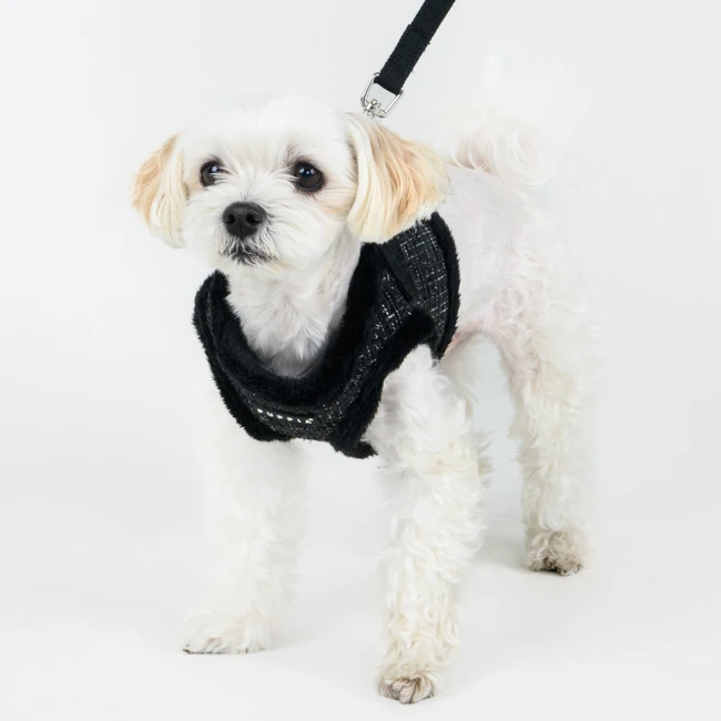 PUPPIA Oscar Ayarlanabilir Polarlı Göğüs Tasması