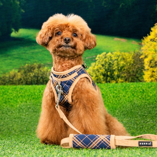 PUPPIA Corwın Harness Navy Paza Köpek Gögüs Tasması
