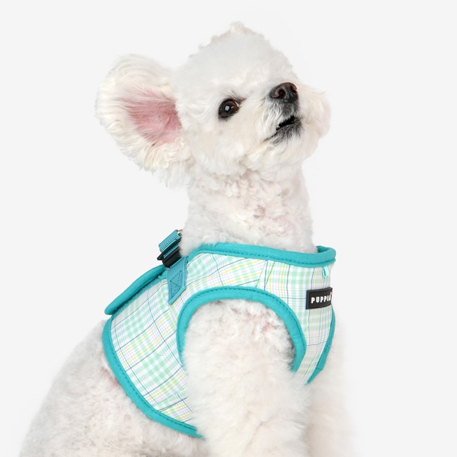 PUPPIA Luke Harness Aqua Pawa Köpek Gögüs Tasması