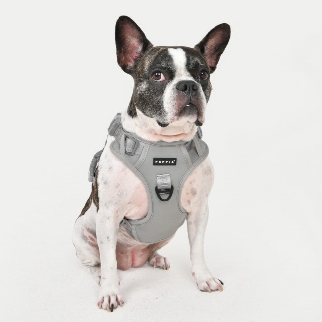 PUPPIA Jarek Harness Grey Paxd Köpek Gögüs Tasması