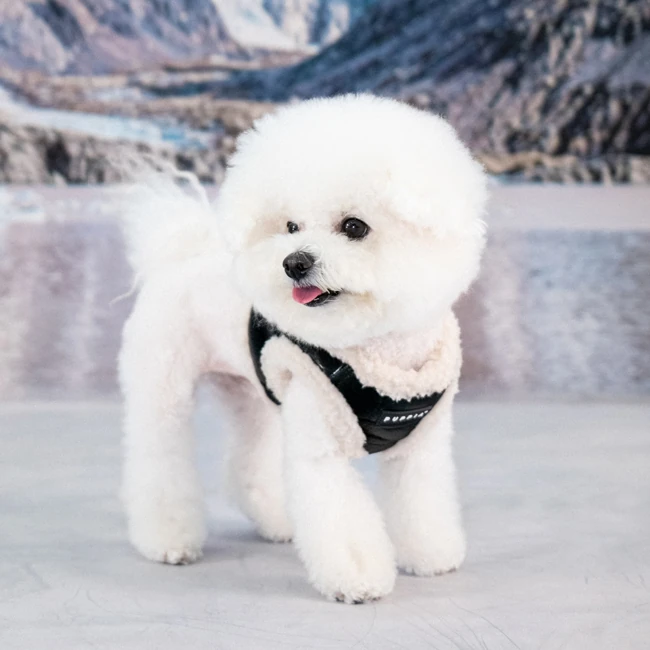 PUPPIA Winterstride Ayarlanabilir Polarlı Göğüs Tasması