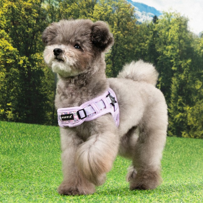 PUPPIA Kealoha Harness Vıolet Paza