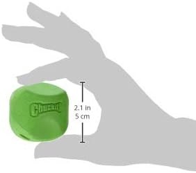 Chuckit! CH20110 Erratic Ball Medıum