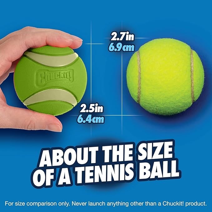 Chuckit! Max Glow Squeaker Gece Parlayan Sesli Köpek Oyun Topu