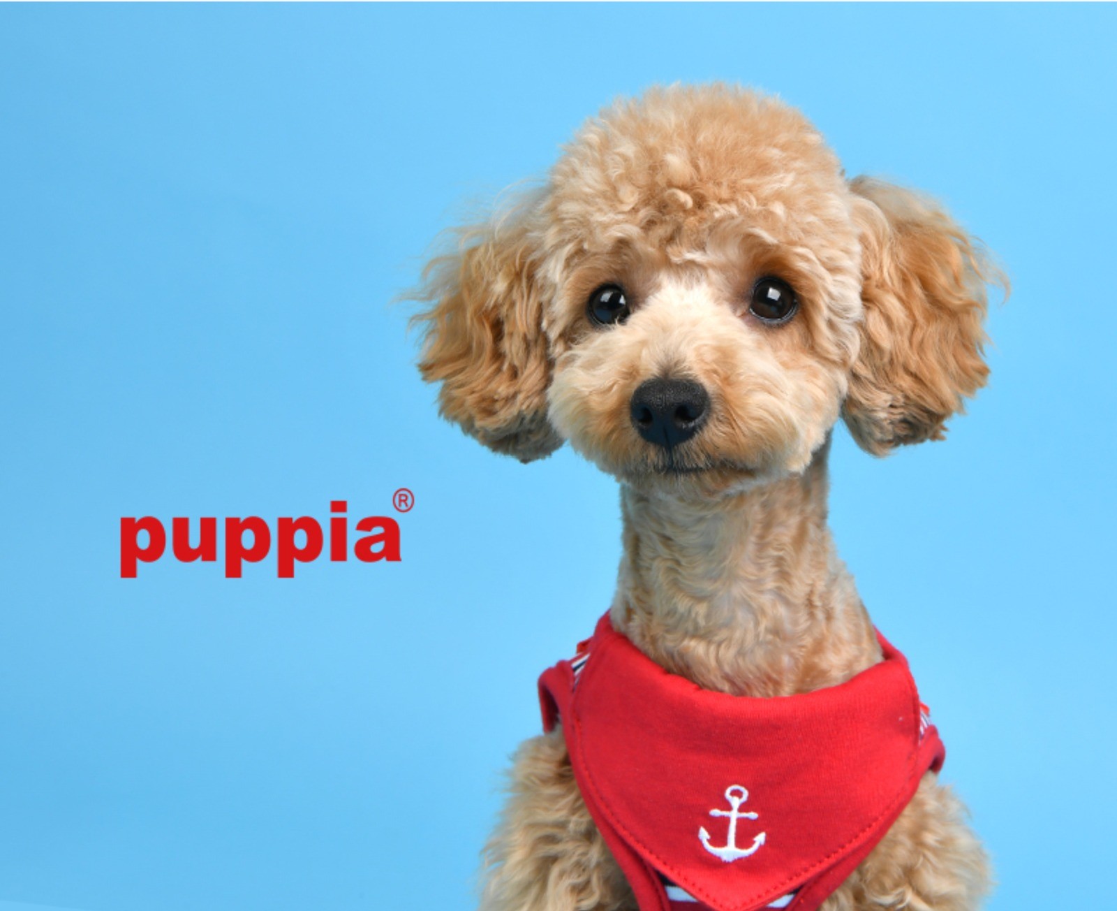 PUPPIA Seaman Harness Red Paua Köpek Gögüs Tasması