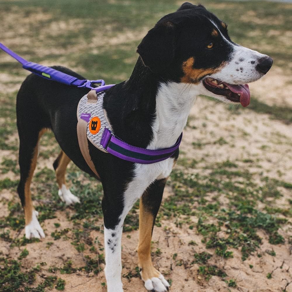 Zee.Dog ACG FlyHarness Kahve-Mor Göğüs Tasması