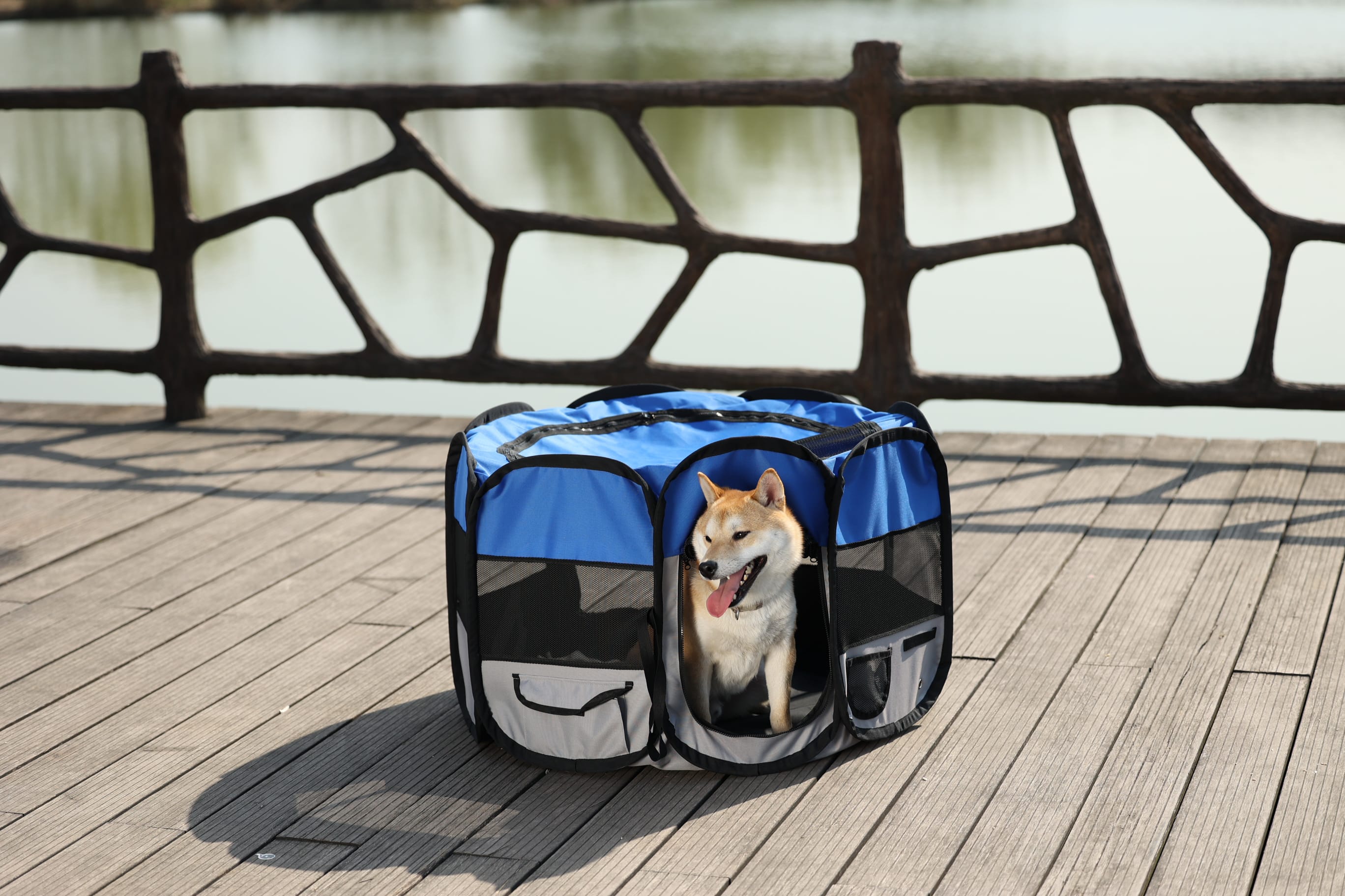 Pet Luxe Katlanabilir Oyun Parkı Medium