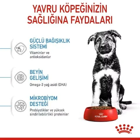 Royal Canın Maxi Puppy Köpek Kuru Maması 15kğ