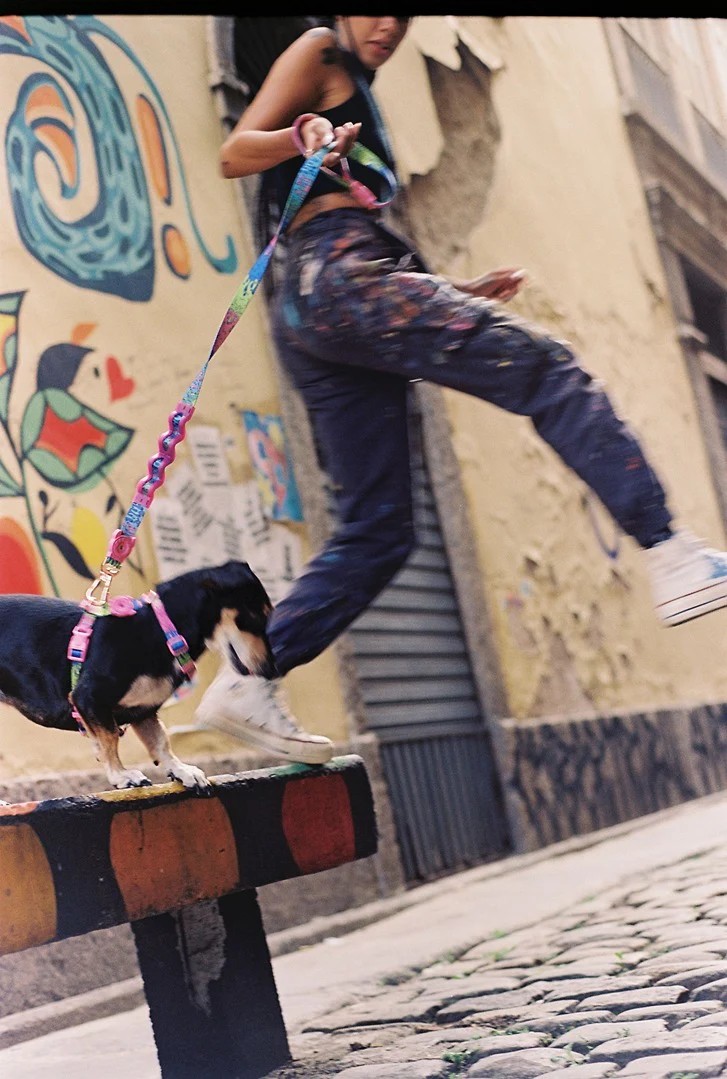 Zee.Dog Melted Ruff Köpek Gezdirme Kayışı