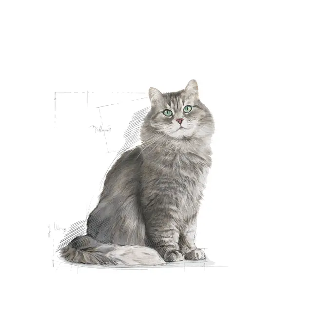 Royal Canın Sensible 33 Yetişkin Kedi Kuru Maması 2 kg