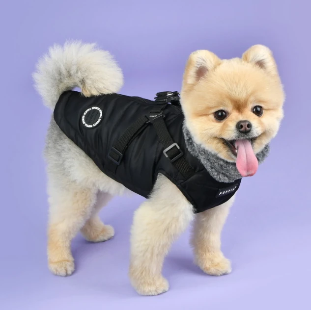 PUPPIA Donavan Polarlı Köpek Kıyafeti