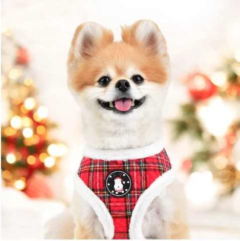 PUPPIA Blitzen Ayarlanabilir Polarlı Göğüs Tasması