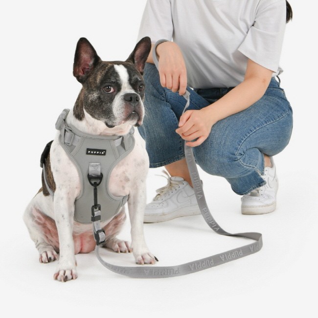 PUPPIA Jarek Harness Grey Paxd Köpek Gögüs Tasması