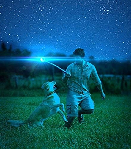 Chuckit! Max Glow Gece Parlayan Köpek Oyun Topu L