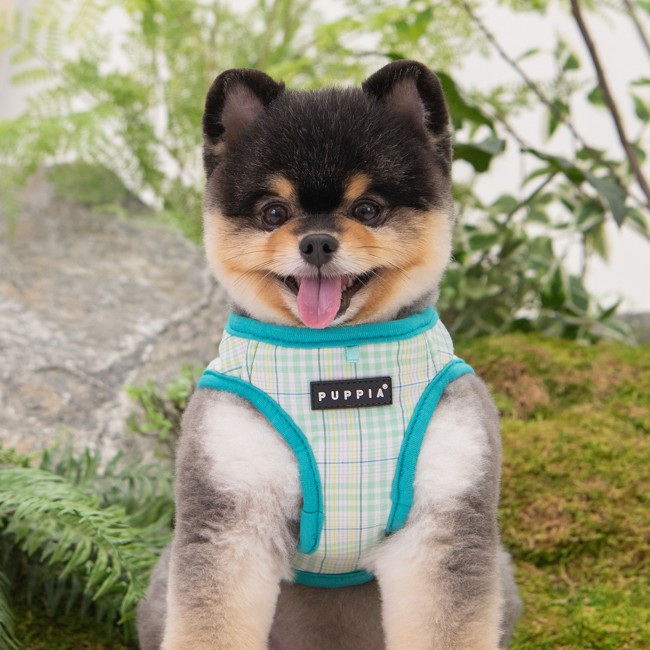 PUPPIA Luke Harness Aqua Pawa Köpek Gögüs Tasması