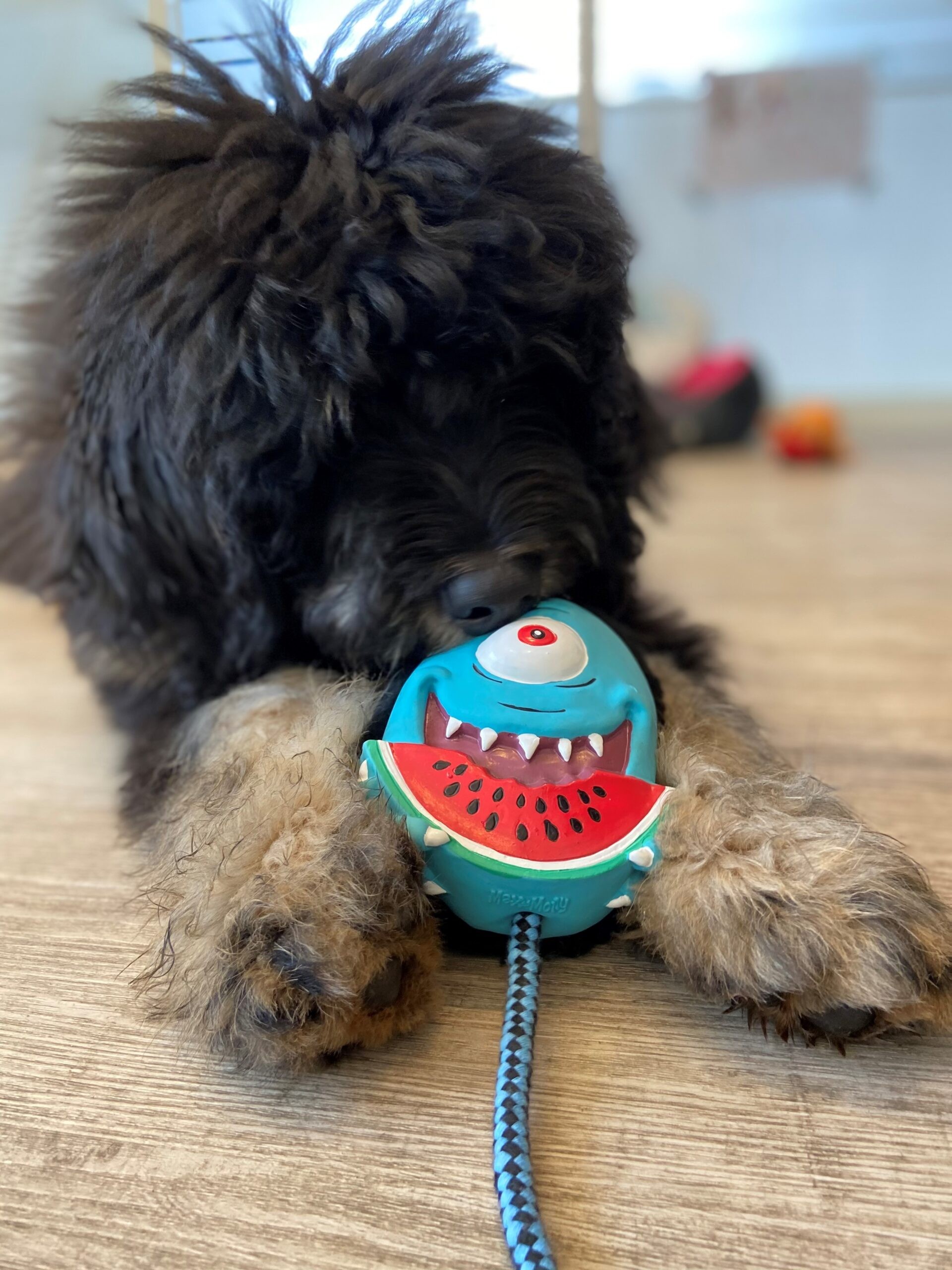 Snuggles Toy Bubba King