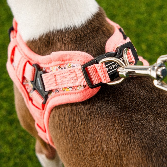 PUPPIA Kealoha Harness Pınk Paza Köpek Gögüs Tasması