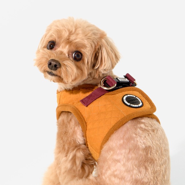 PUPPIA Irvın Harness Mustard Payd Köpek Gögüs Tasması