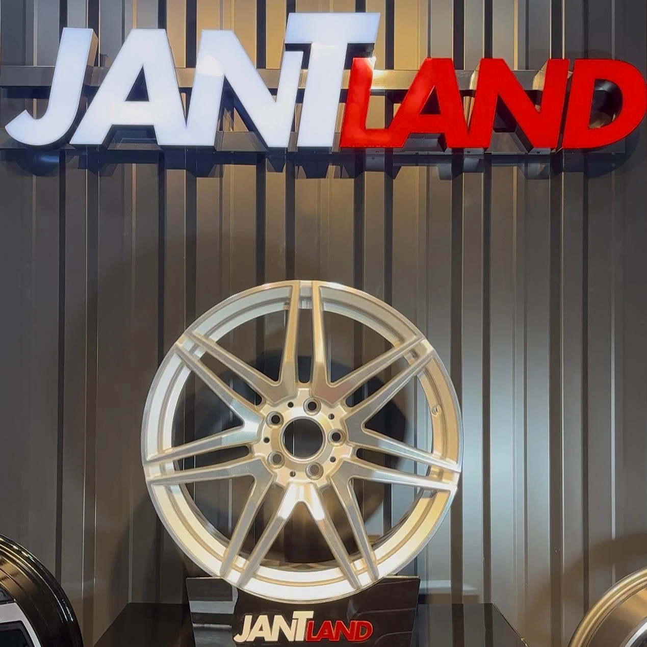 R1A-360/3 19/5*112 19*8 ET45 66.6 SF TZ (4adet)