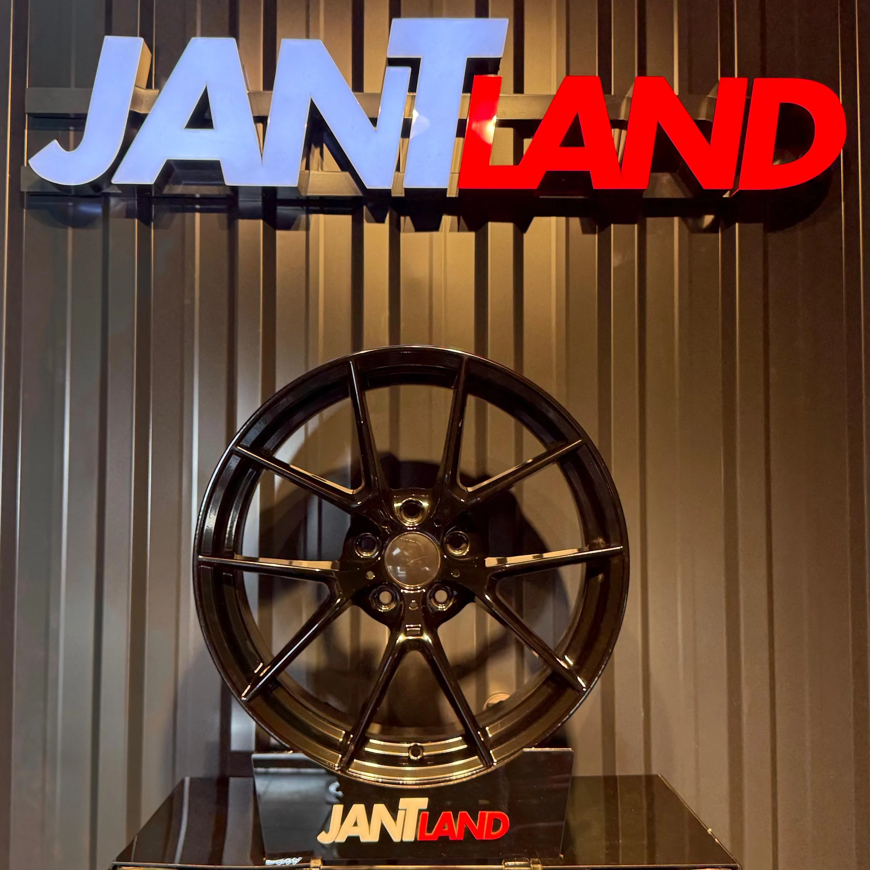 19/5*120 19*9,5 ET40 72,6 MGM