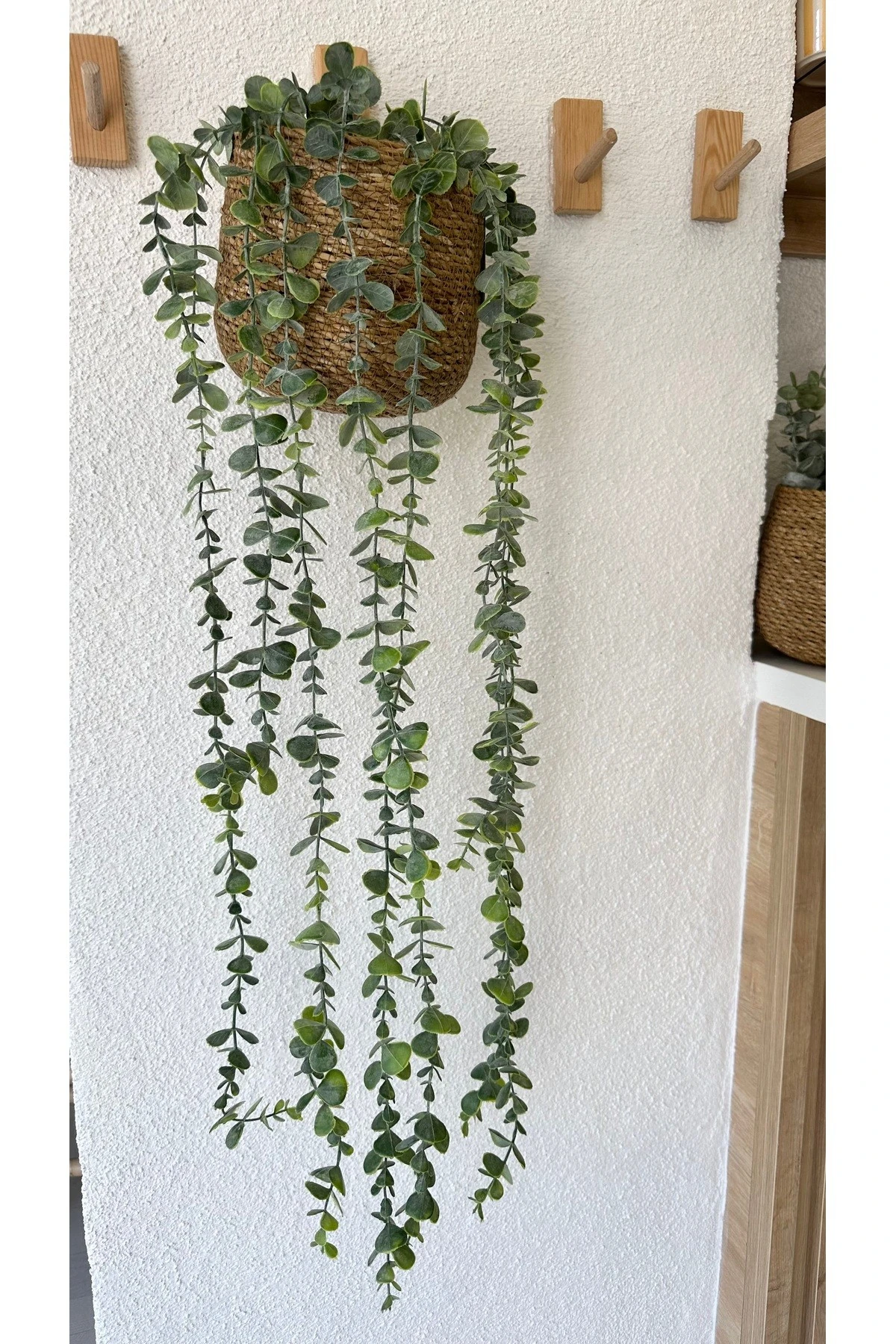 1. Kalite Sarkan Okaliptus Yeşillik Duvar Çiçeği Sarmaşık 100 Cm