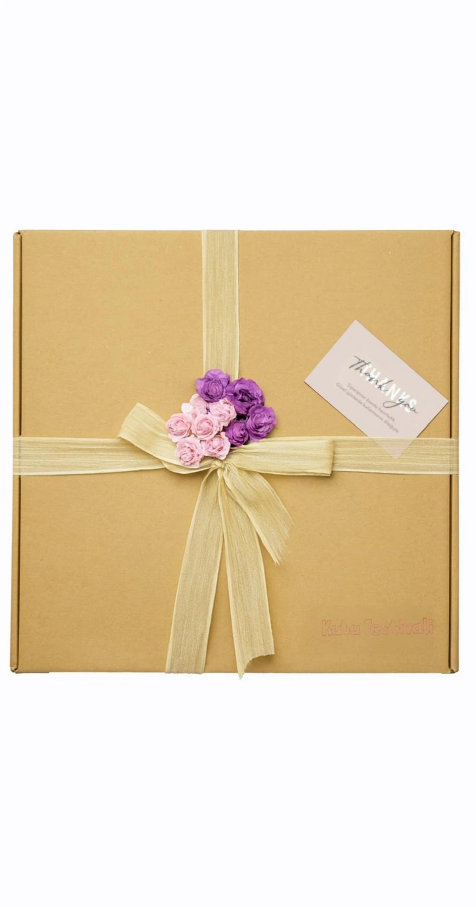 BALIK BURCUNUN RÜYA KUTUSU