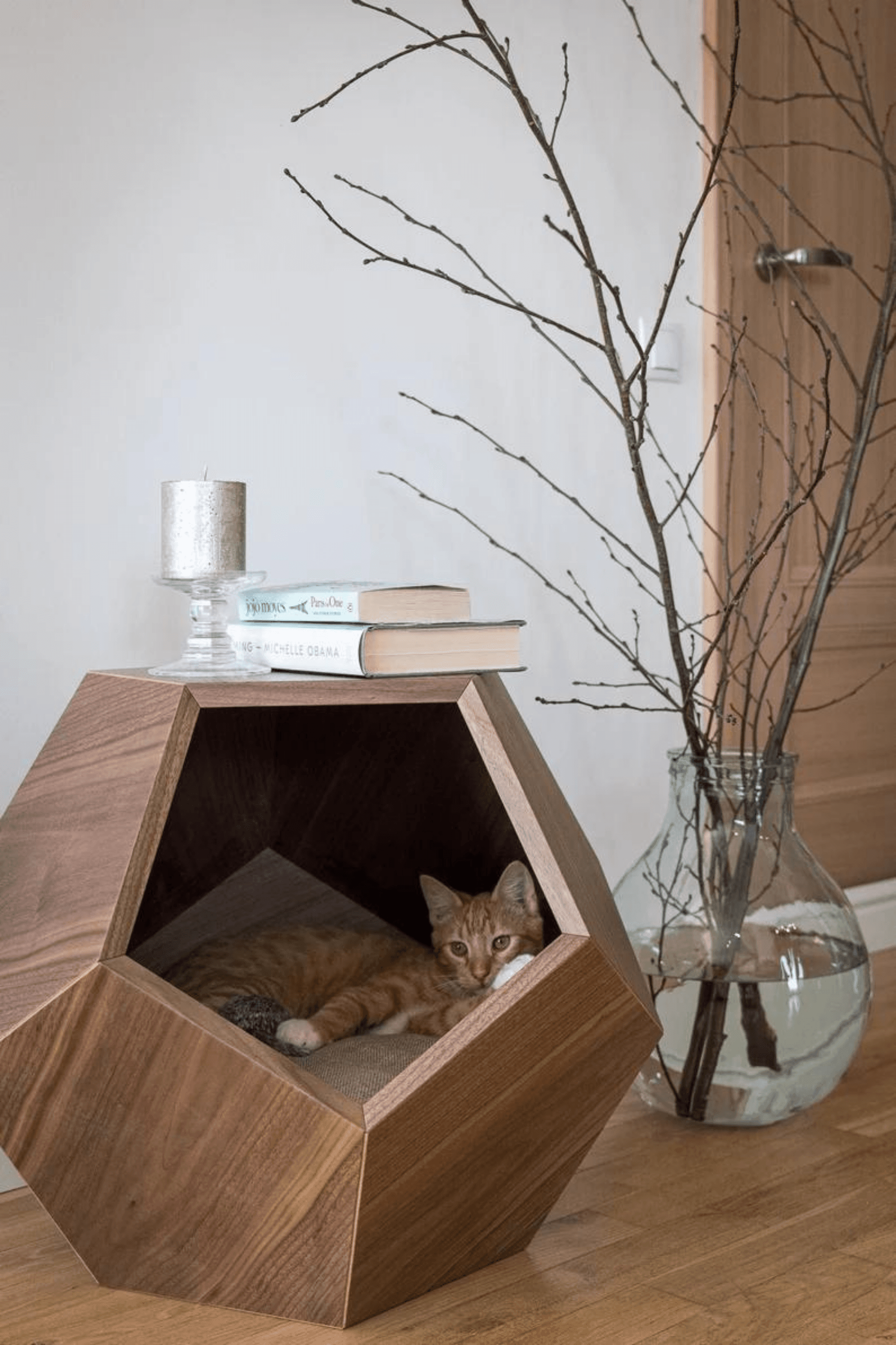 Casa del gato espada | Muebles para mascotas