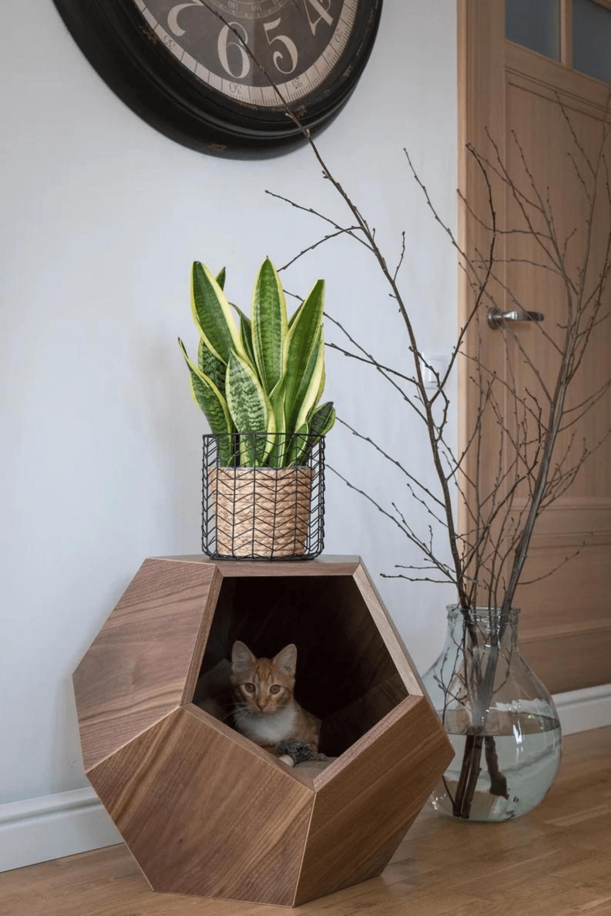 Maison de chat d’épée | Meubles pour animaux de compagnie