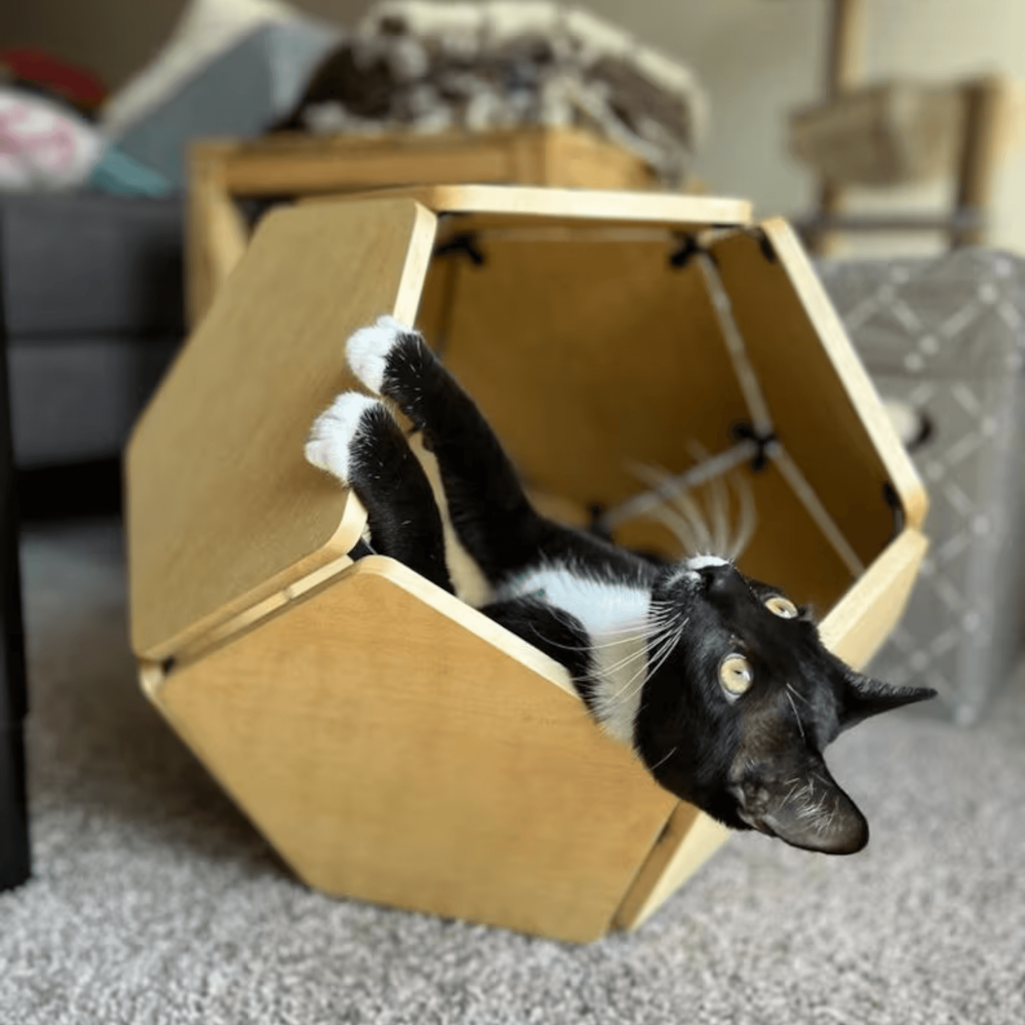 Tobis | Wooden Cat House | Pet Furniture