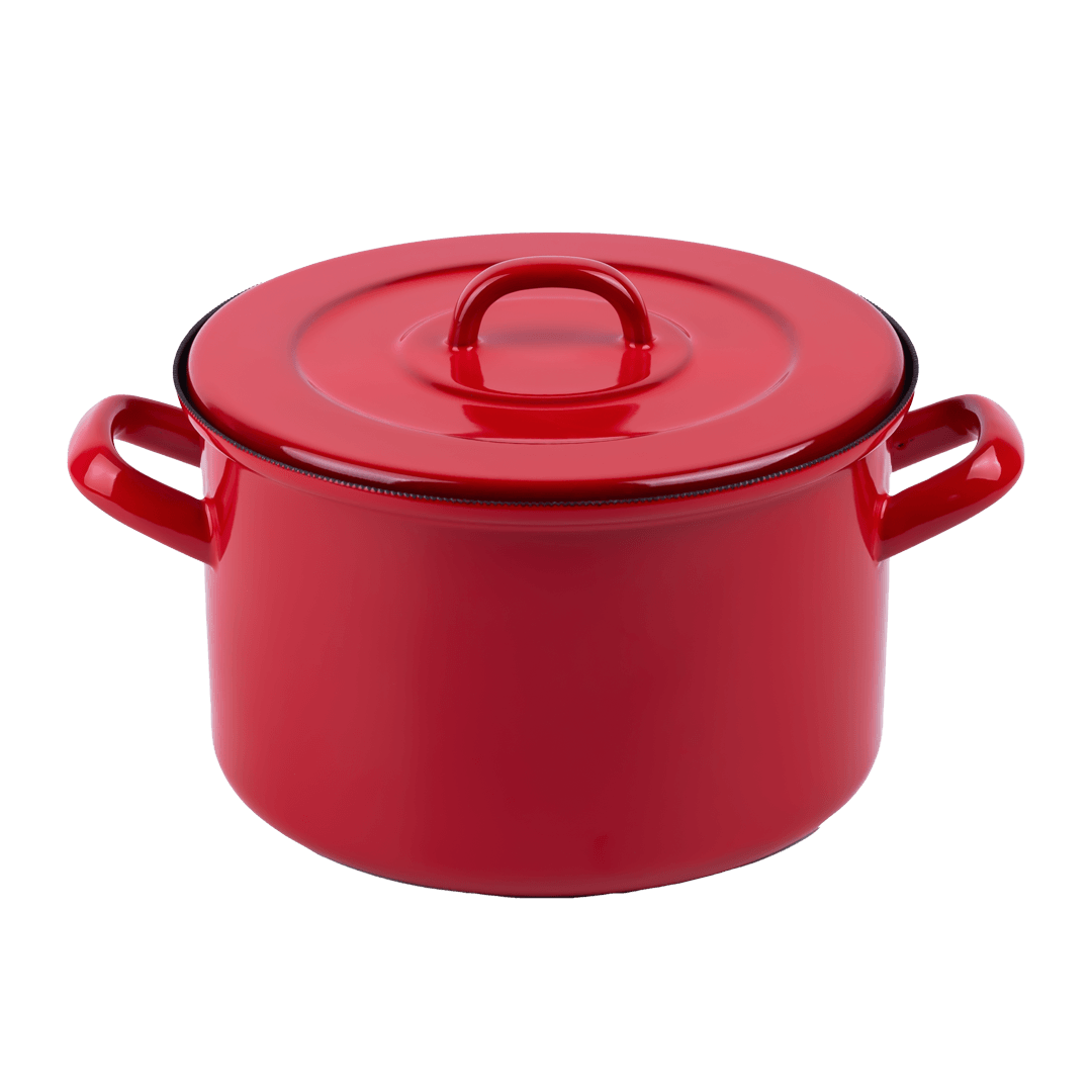 Rainpot Tencere 22cm - Flame