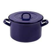 Rainpot