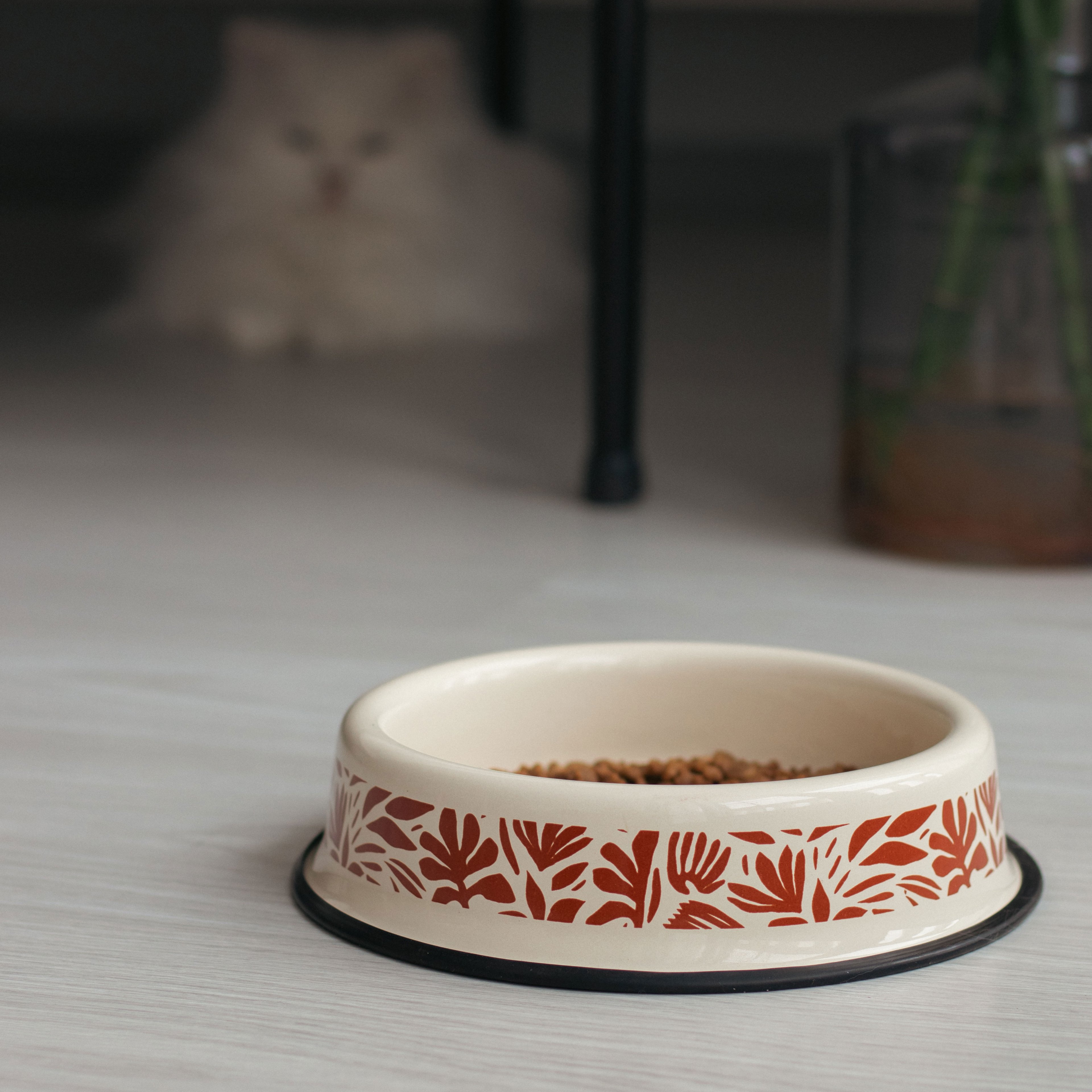 Emaylab Kedi/Köpek Mama Kabı Abstract Desen - Abstract Cream