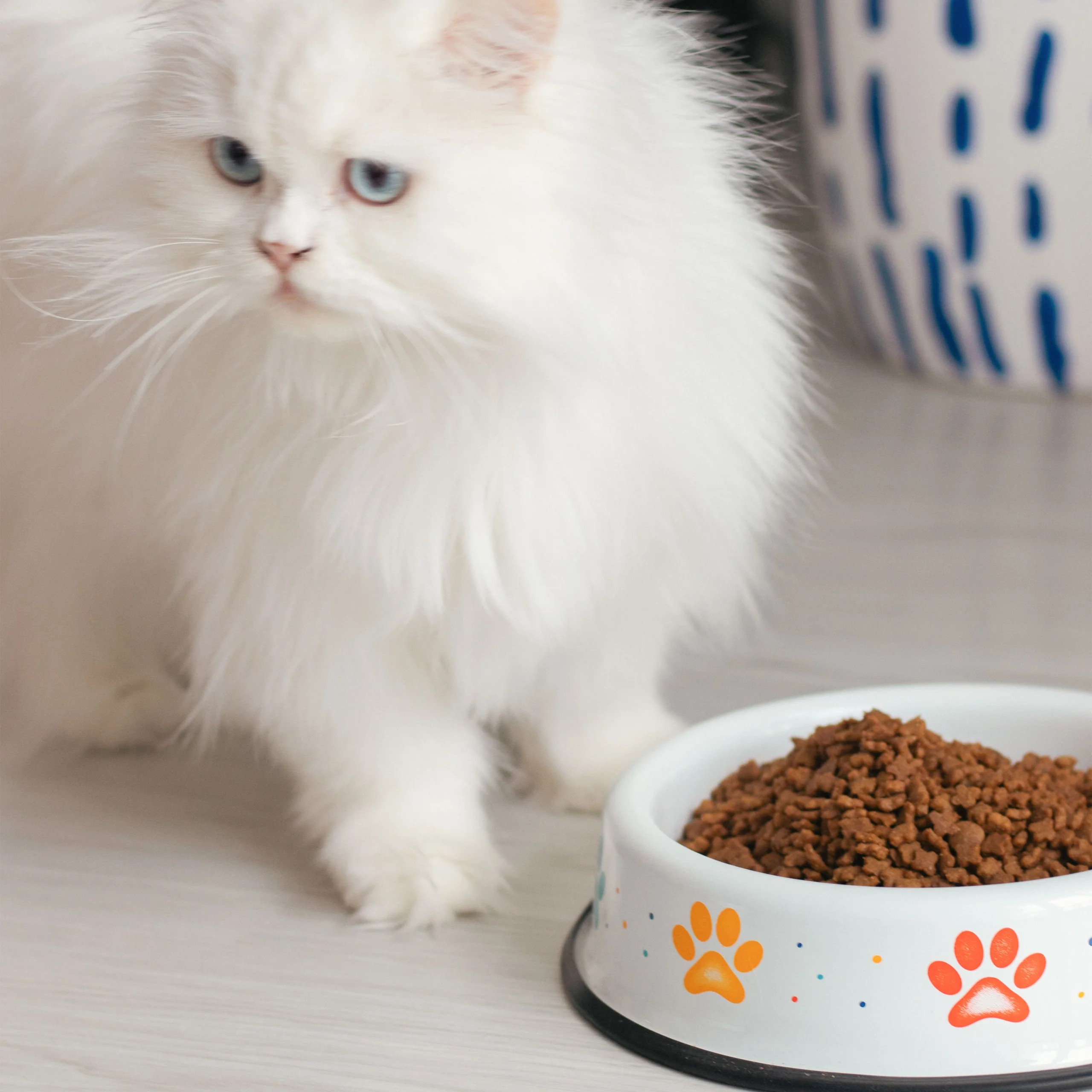 Emaylab Kedi/Köpek Emaye Mama Kabı Savage Pink - Rainbow