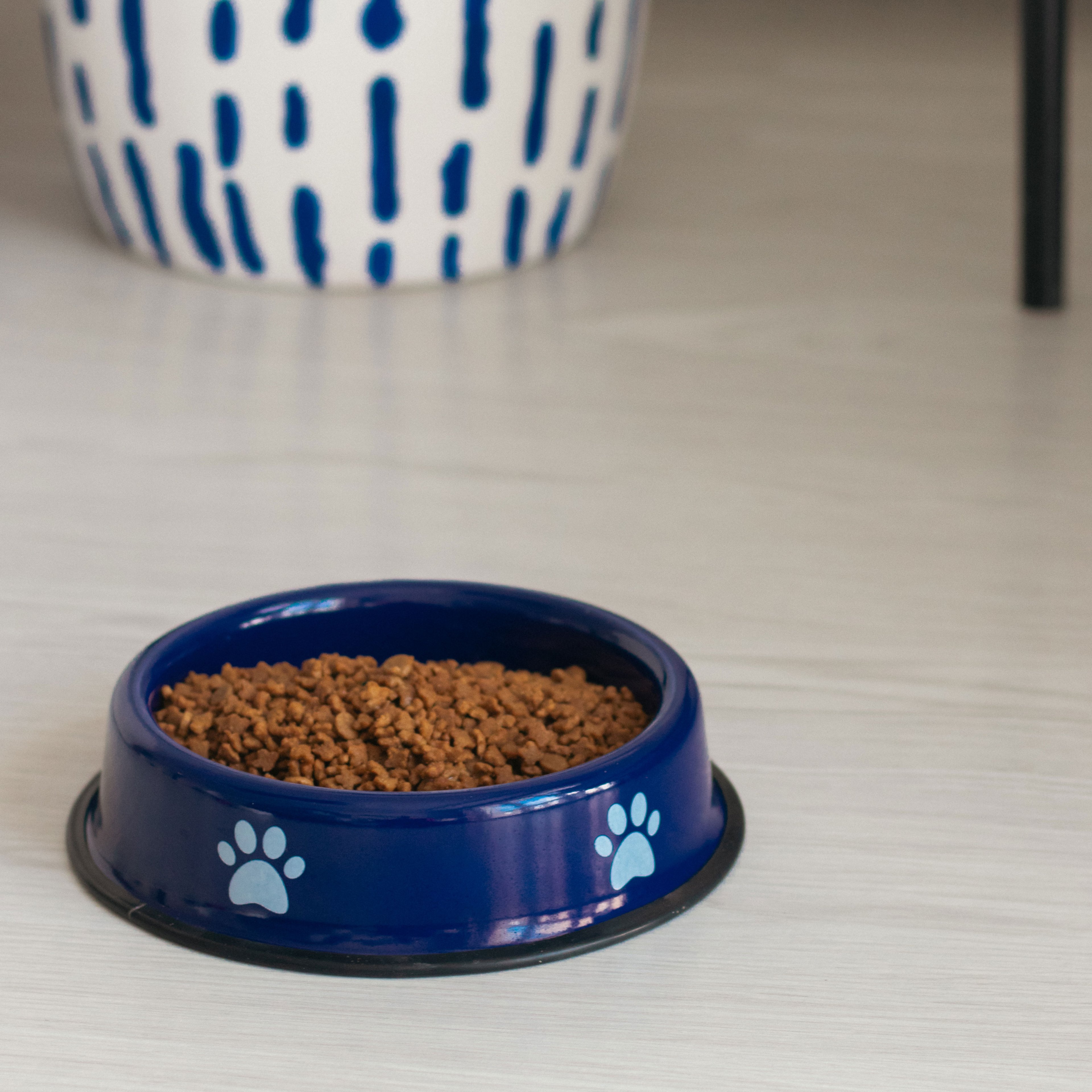 Emaylab Kedi/Köpek Emaye Mama Kabı Pati Desen - Cobalt